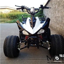 125小火星ATV沙滩车10寸铝轮四轮越野车电启动四轮越野摩托车