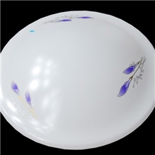 LED吸顶灯大拉伸兰色彩楼梯间卧室客房三年质保热销款式多样