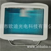 欧迪光电NSE9720防眩应急通路灯
