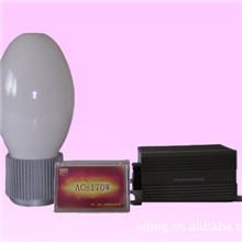 荷兰技术雨丁厂家无极灯及LED灯具功率齐全光效高寿命长