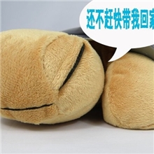 厂家直销音乐乌龟投影灯星空灯安睡灯小夜灯乌龟灯星空乌龟灯