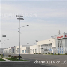 专业生产新农村太阳能路灯道路照明太阳能路灯太阳能风能路灯