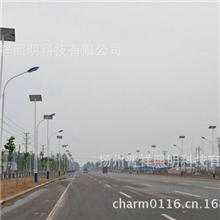 专业批发环保太阳能灯LED太阳能路灯双臂太阳能路灯照明