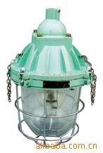 供应隔爆型防爆灯ZXBCD-200防爆灯175w节能防爆灯深圳防爆灯