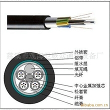 FTTH皮线光缆、蝶形光缆、自承式蝶形光缆、光纤信息面板