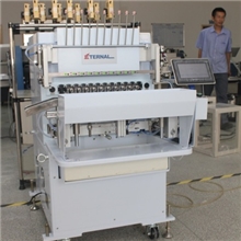 厂家直销一特12轴全自动经济型绕线机(EZ3712）