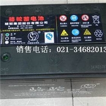 免维护12V电瓶骆驼6-QW-100MF骆驼12V100Ah蓄电池骆驼100Ah电瓶