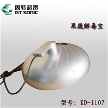 康道果蔬解毒清洗机（果蔬解毒电喷+活氧机）KD-1107