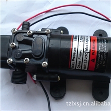 陆先35w大功率智能水泵多功能水泵可配任何洗车器喷雾器