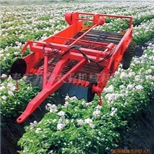 专业低价供应1400马铃薯收获机
