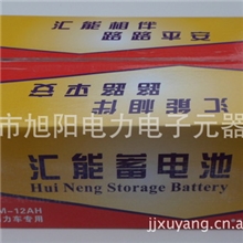 48v、电动车蓄电池（6-ZDM-12AH）