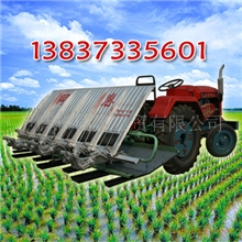 供应河南新乡插秧机技术参数【厂家直销质量保证】