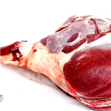 【硕业狍子养殖】供应鹿大腿每只12斤左右35元一斤烧烤专用