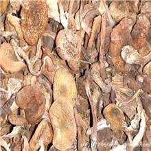 【硕业狍子养殖】供应东北榛蘑，包装简装，每袋重180克