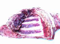 【硕业养殖】硕业养殖场直销狍子肉80元，狍排骨65元，狍腿肉80元