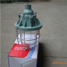 浙江防爆灯具BCD系列浙江防爆灯具厂家直销浙江防爆灯具