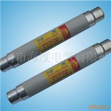 高压熔断器全国质量第一家XRNT-10/63A(SFLAJ-12/63A)