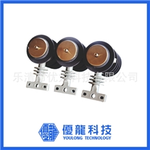 热销精品HY5WS-17/50交流无间隙氧化锌避雷器（支柱式）