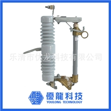 厂家供应户外交流高压熔断器型式试验油田入网高压熔断器优龙