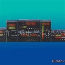 供应智能数字显示报警仪