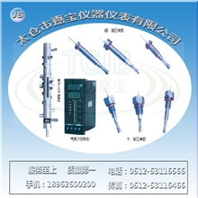 压入式水位计电接点DJY2212-115