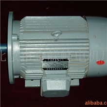 供应Y系列Y100L-6-1.5kwB5电动机