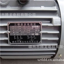 YS8024/Y38022/YS系列电动机/三相异步电机/马达