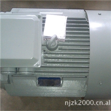 南京中科电机公司优惠供应三相异步电动机Y180L-4变频电机