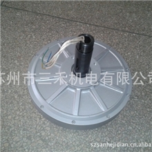 100W无铁心盘式永磁风力发电专用电机