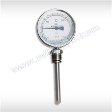 厂家出售WSS系列防腐径向双金属温度计优质抽芯双金属温度计