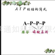 通如课件录制系统,三分屏课件录制软件