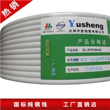 【企业集采】纯铜足米质量保证SYWV75-5高清有线电视线闭路线