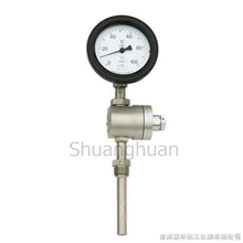 本公司专业生产--双支铂热电阻