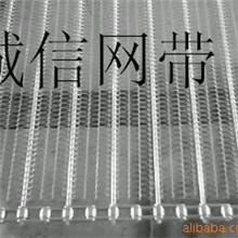 供应链条牵引网链，专业制造，运转平稳，厂家直销，价格优惠