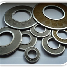 SPL-200双筒网片过滤器-滤芯