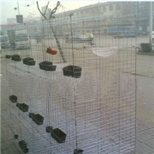 供应优质12位商品鸽笼16位鸽子笼肉鸽笼此价格包含全套白色配件