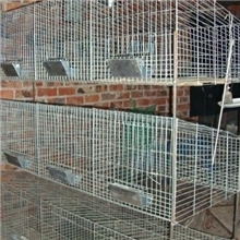批发零售：24位小兔笼|青年兔笼|育雏兔笼|黑豚笼|鹌鹑笼