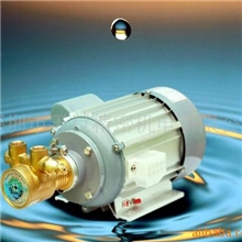 供应高压叶片泵纯静水处理泵