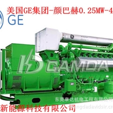 餐厨垃圾沼气发电/工业废水沼气发电/颜巴赫沼气发电机组