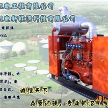 沼气发电机组、养殖专用沼气发电机组