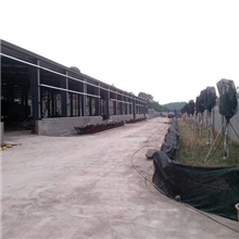 城市生活垃圾处理工程-季明环保综合分选机