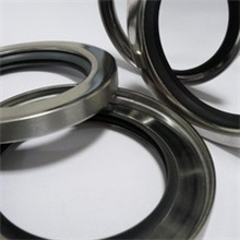 供应优质PTFE空压机油封