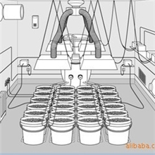 Planttent;植物生长帐篷,Growtent,size:100X100X200cm