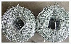 供应南京杭州上海刺绳，刺绳网，铁丝绳，刺丝绳，金属