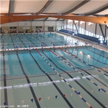 儿童泳池水处理设备|儿童游泳池水处理设备|成人游泳池水处理设备