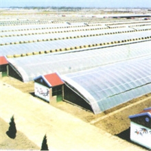 专业生产温室棚镀塑机种植大棚