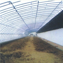 专业生产温室大棚顾问式服务