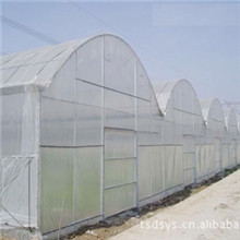 温室大棚-温室工程-山东天顺温室工程