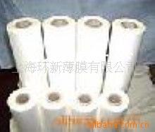 供应白色PET薄膜