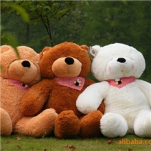 特价迷糊熊林嘉欣熊泰迪熊毛绒玩具80CM三色可选